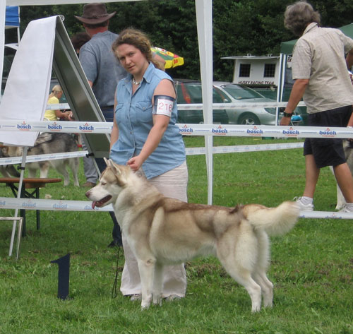 2005