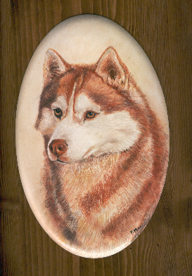 WinalmiK Siberians